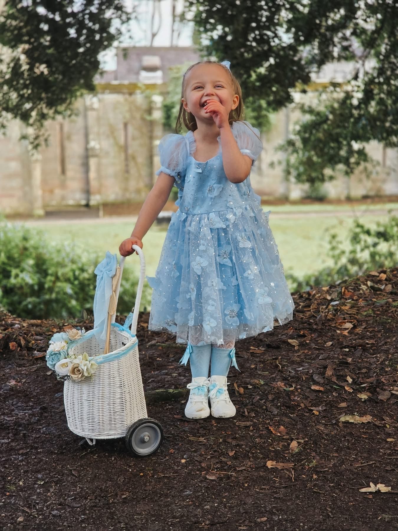 Butterfly kisses dress (blue)