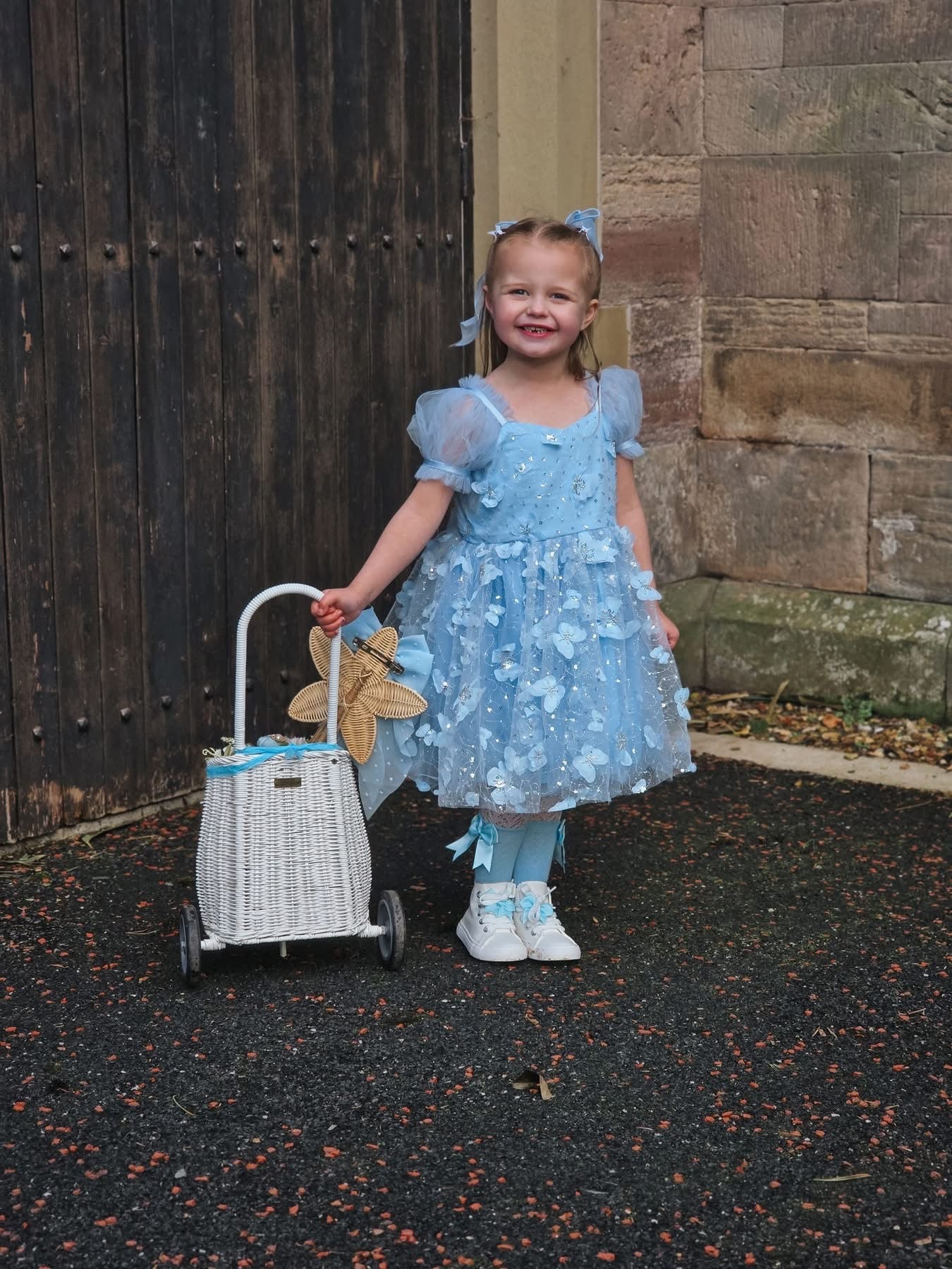 Butterfly kisses dress (blue)