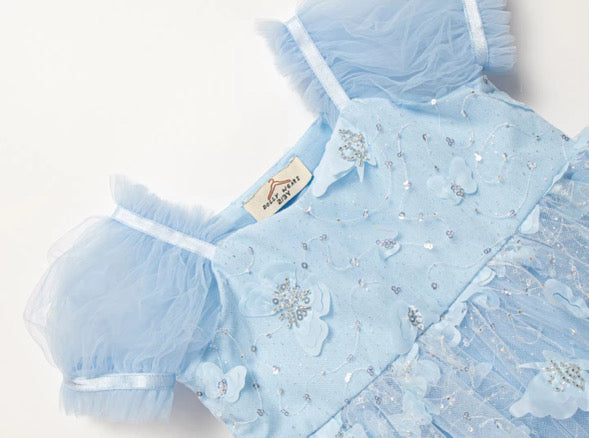 Butterfly kisses dress (blue)