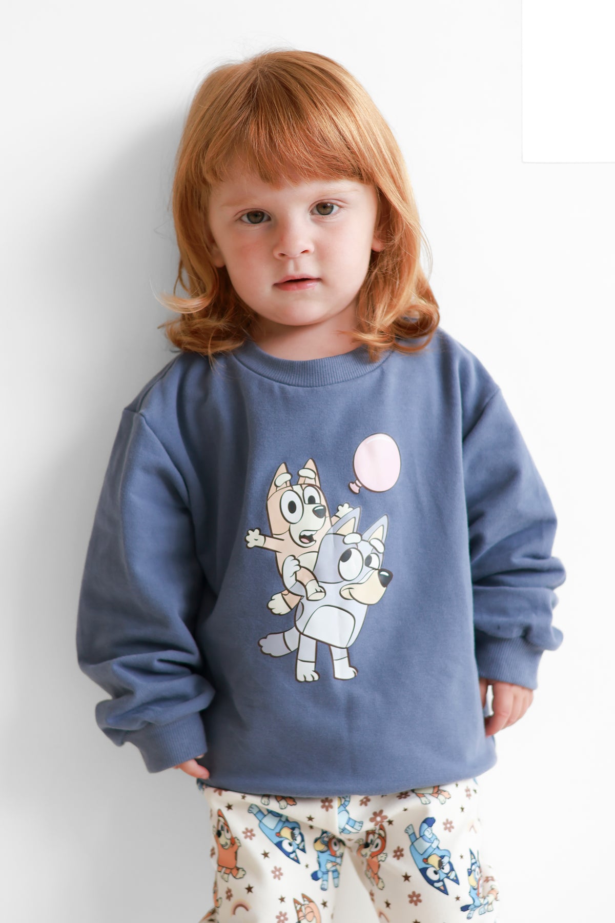 Blue dog sweatshirt