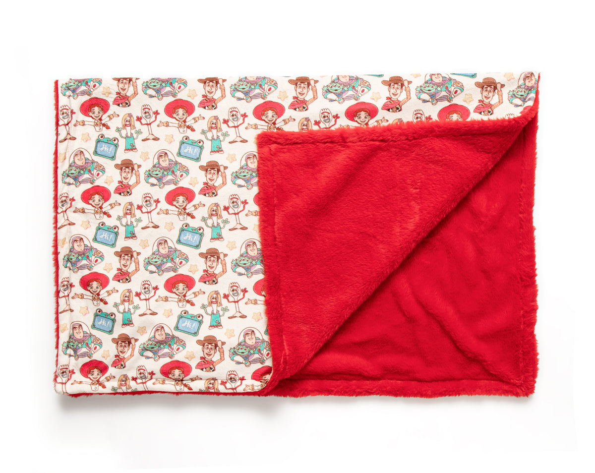 Toy friends fleece lined blanket