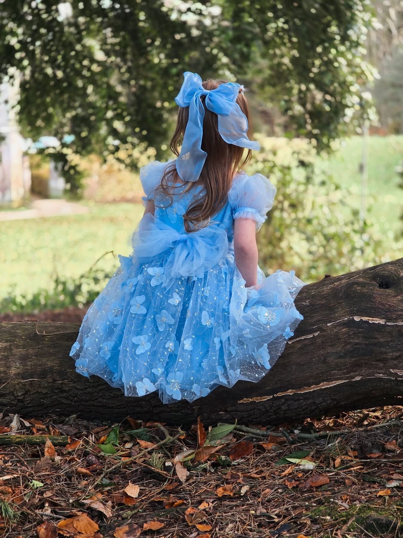 Butterfly kisses dress (blue)