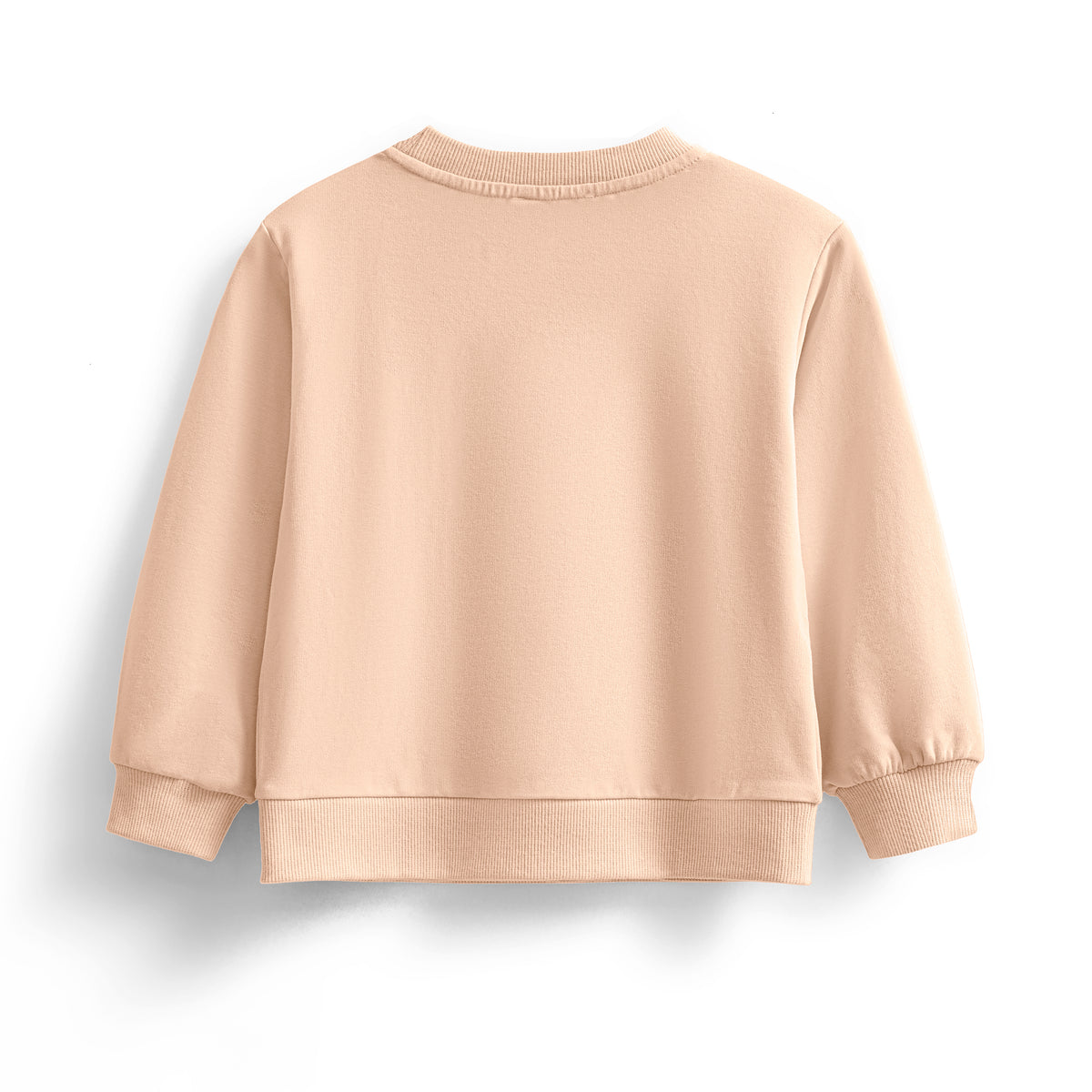 Remy sweatshirt