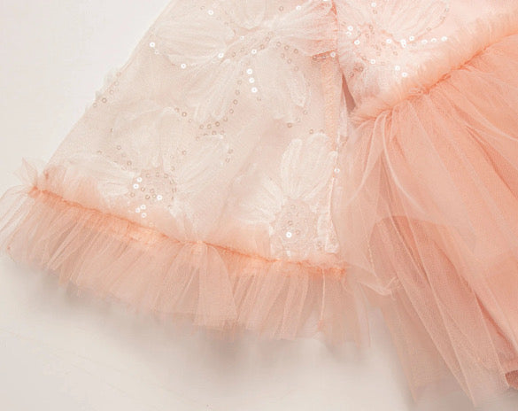 Sugar plum fairy romper