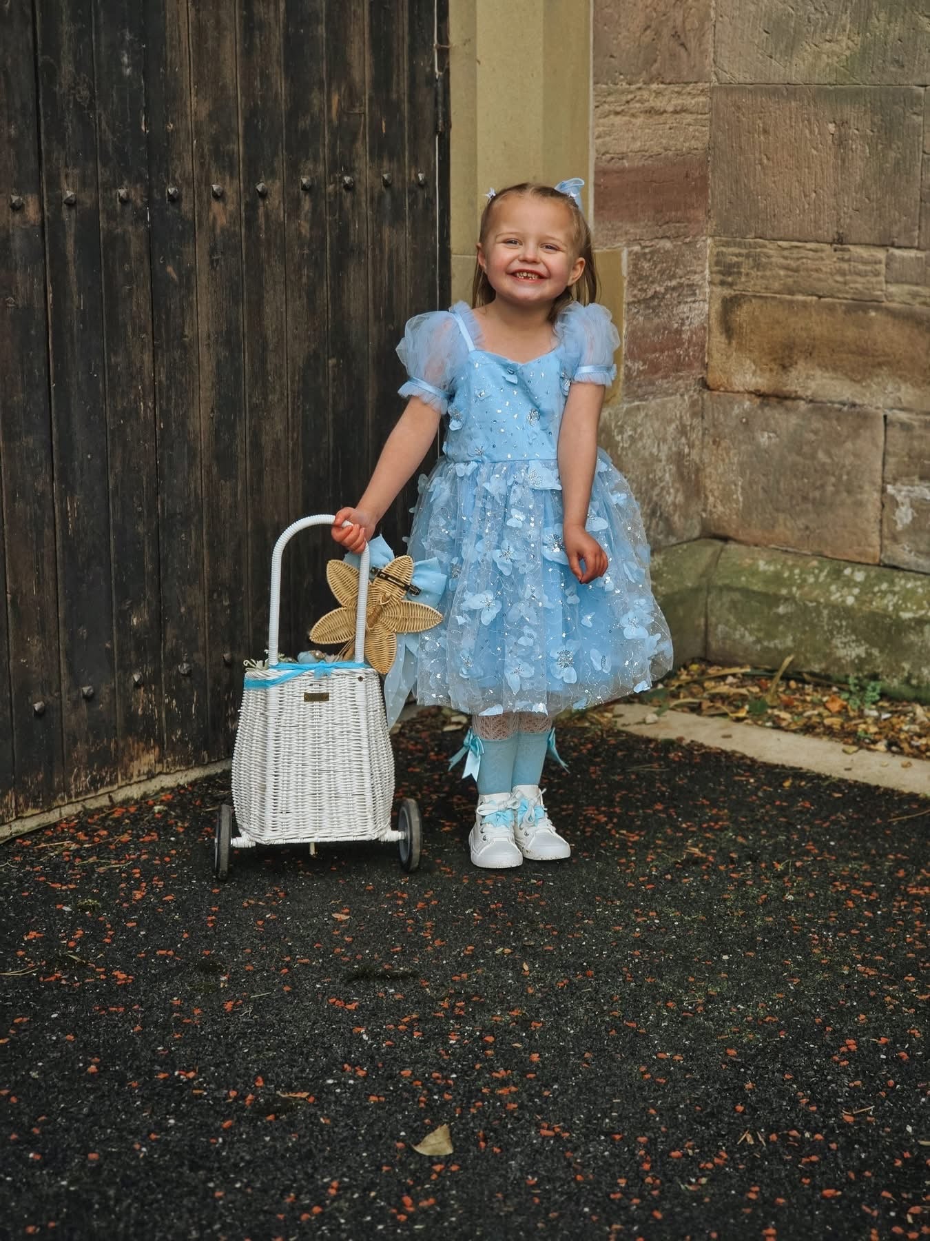 Butterfly kisses dress (blue)