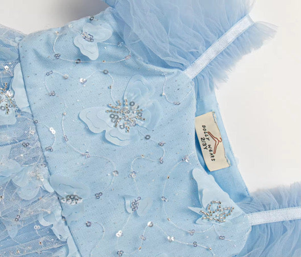 Butterfly kisses dress (blue)
