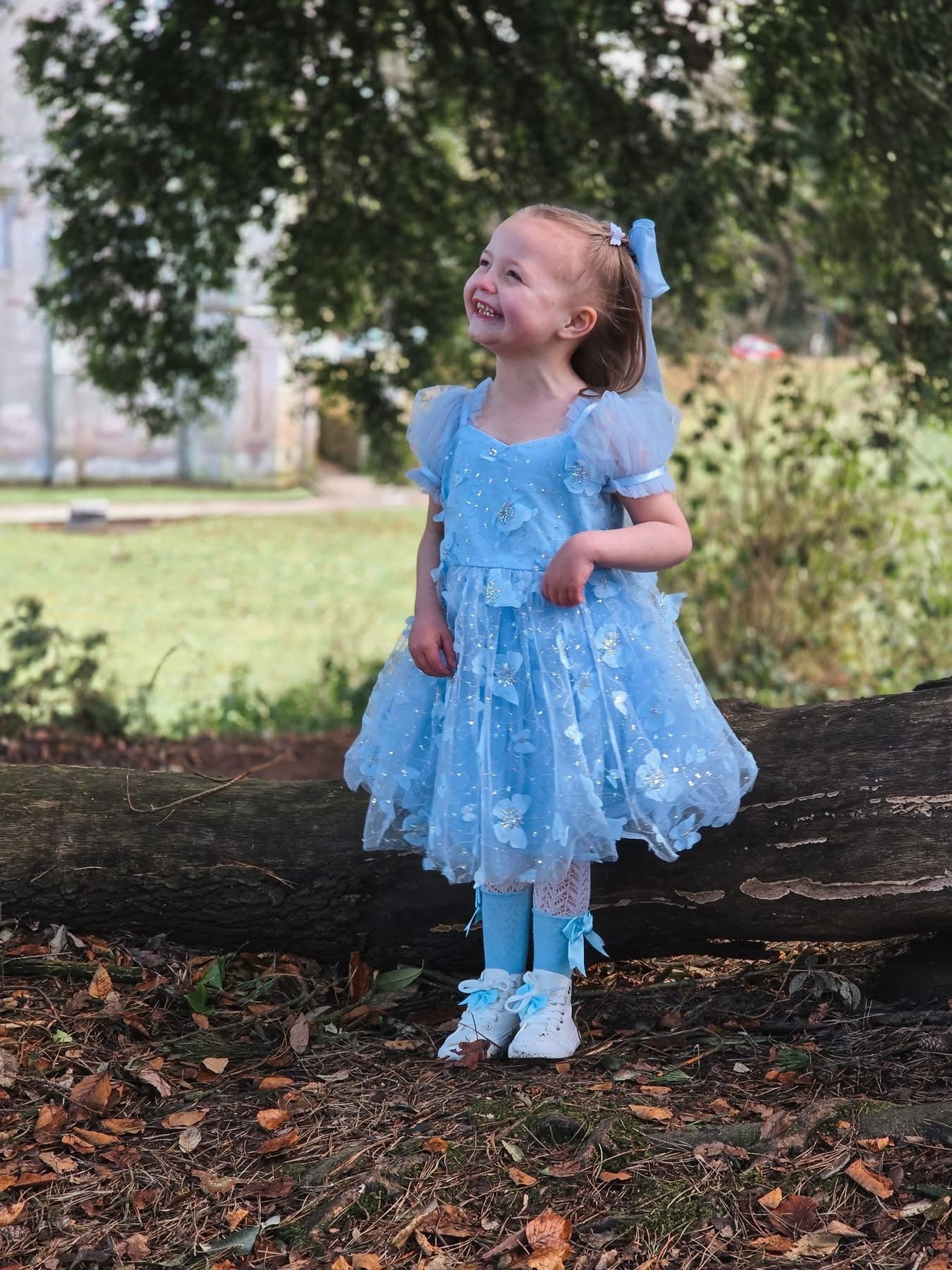 Butterfly kisses dress (blue)