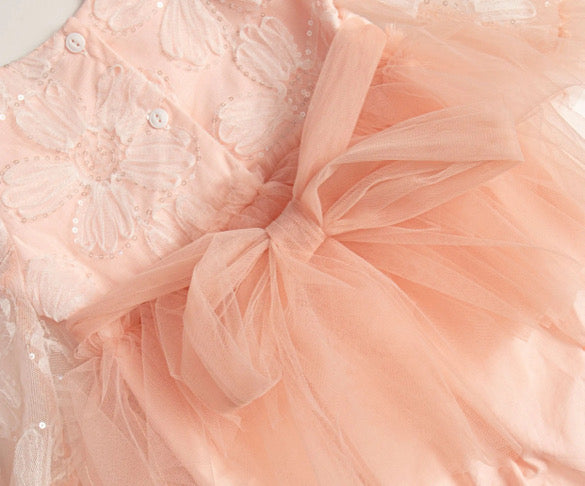 Sugar plum fairy romper