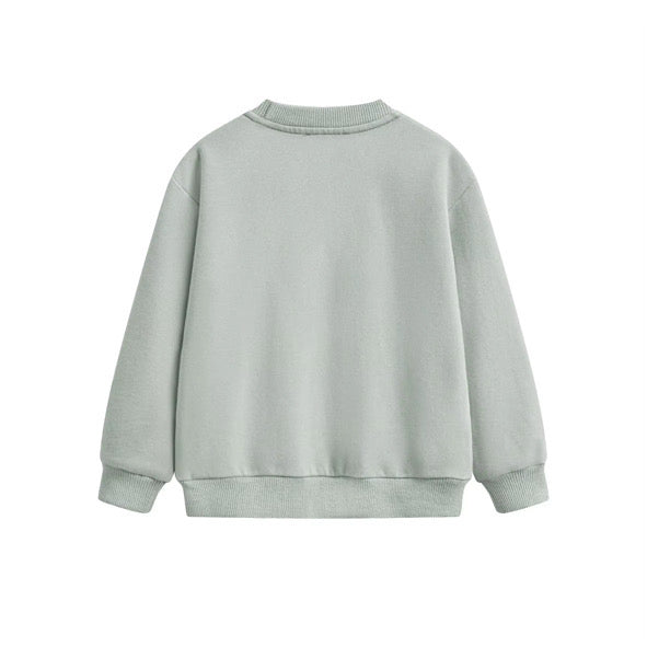 Monster sweatshirt