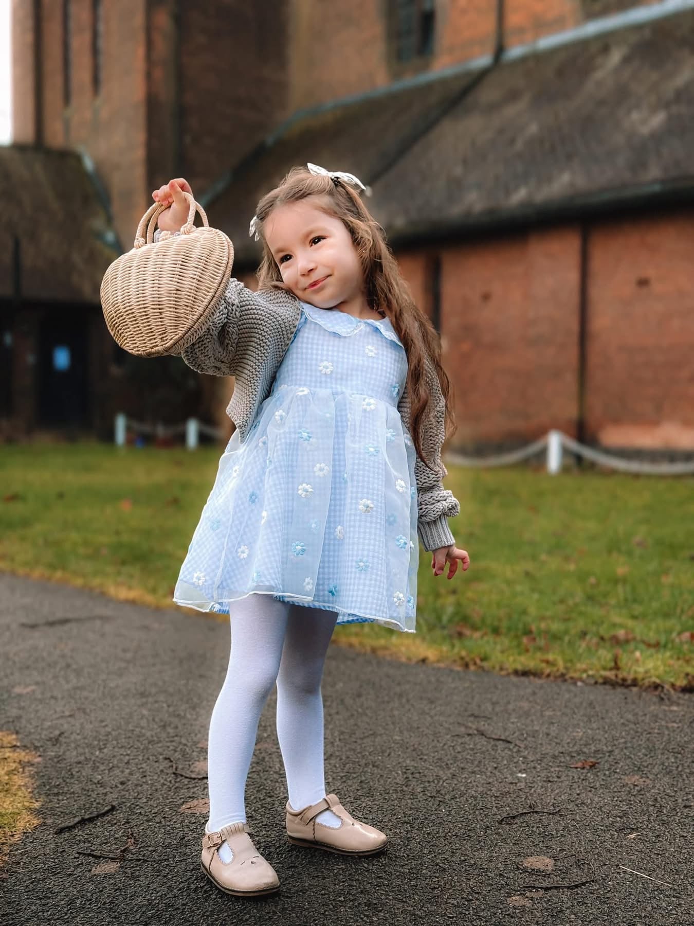 Blue gingham daisy lace dress