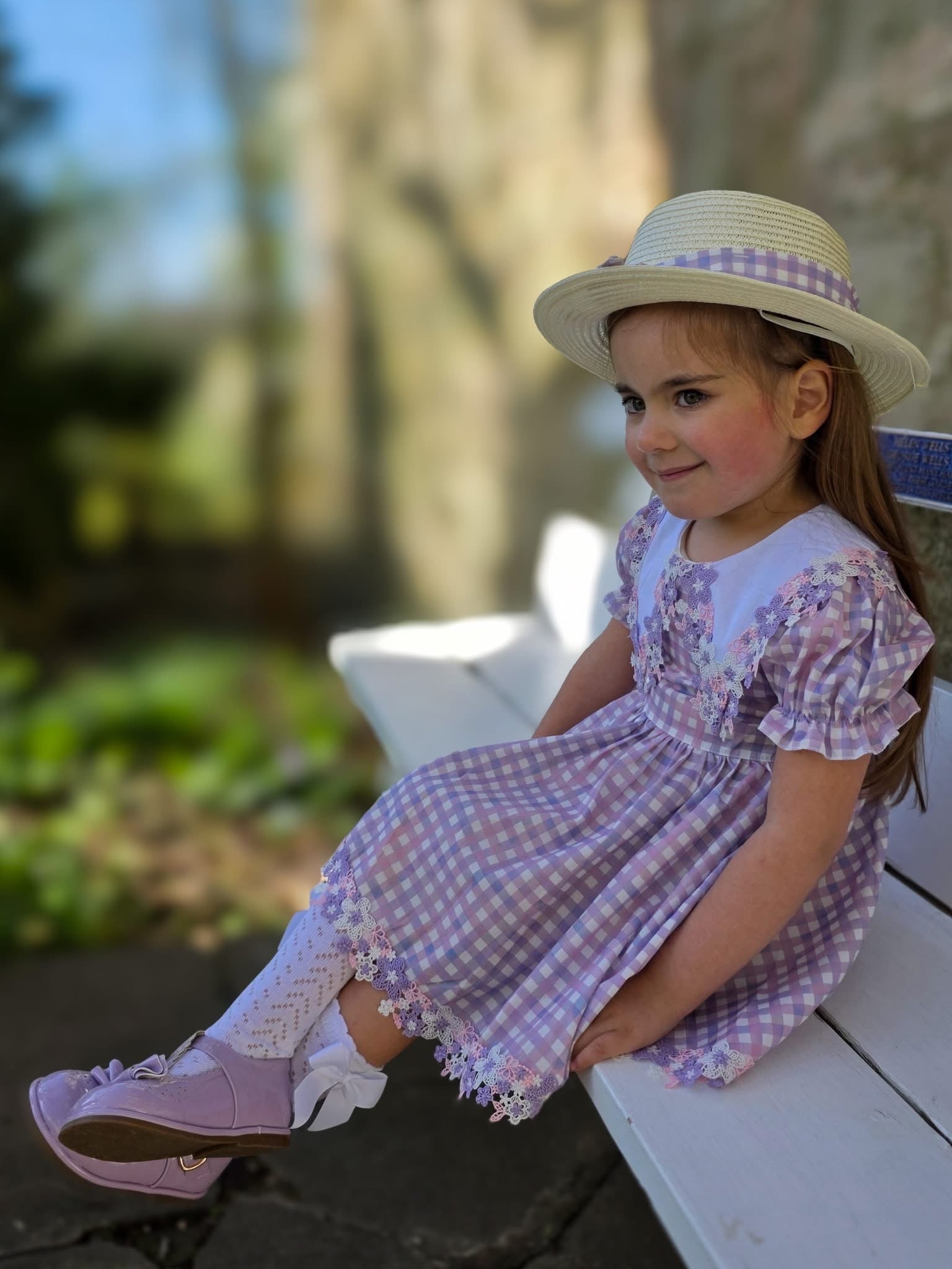 Lilac daise gingham dress