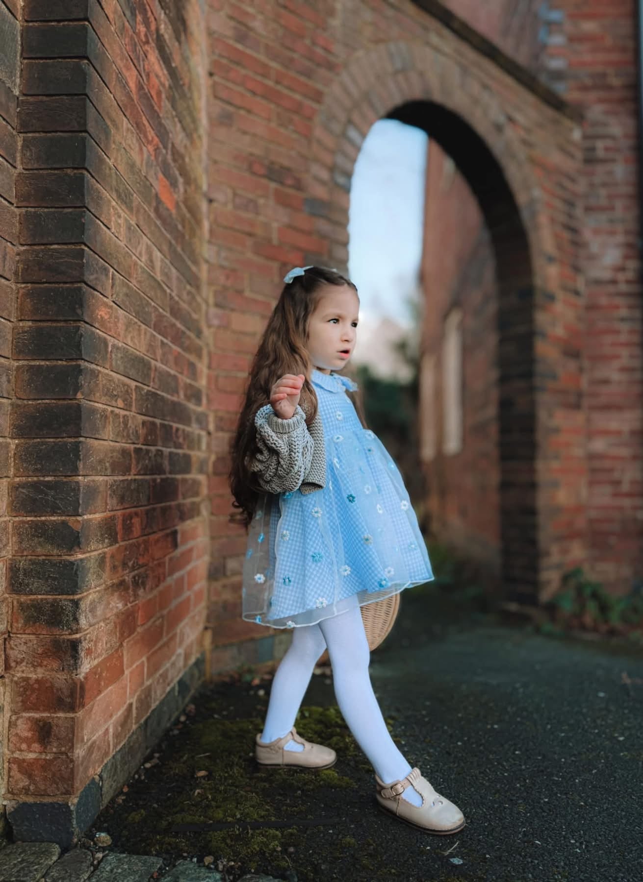 Blue gingham daisy lace dress