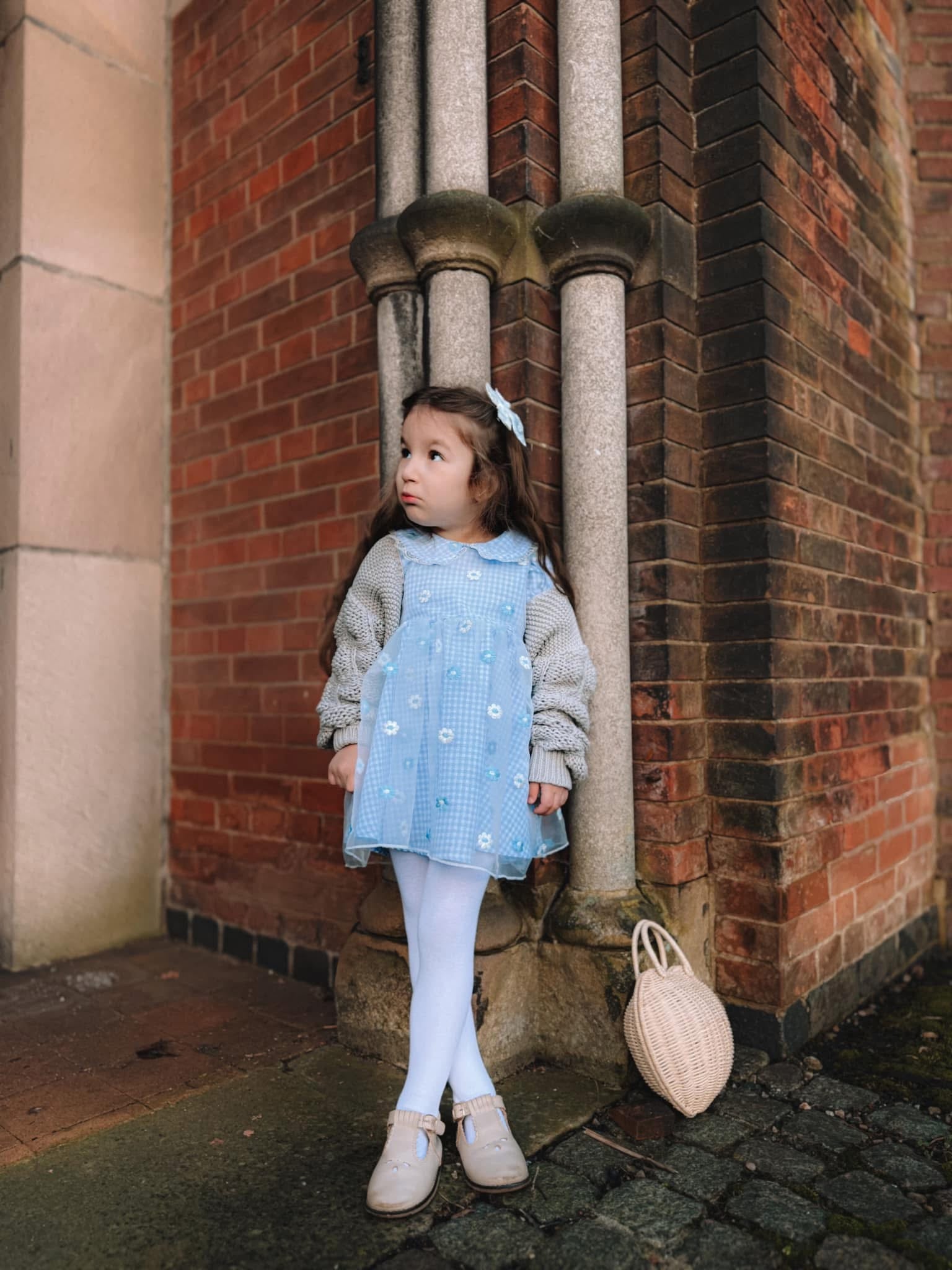 Blue gingham daisy lace dress