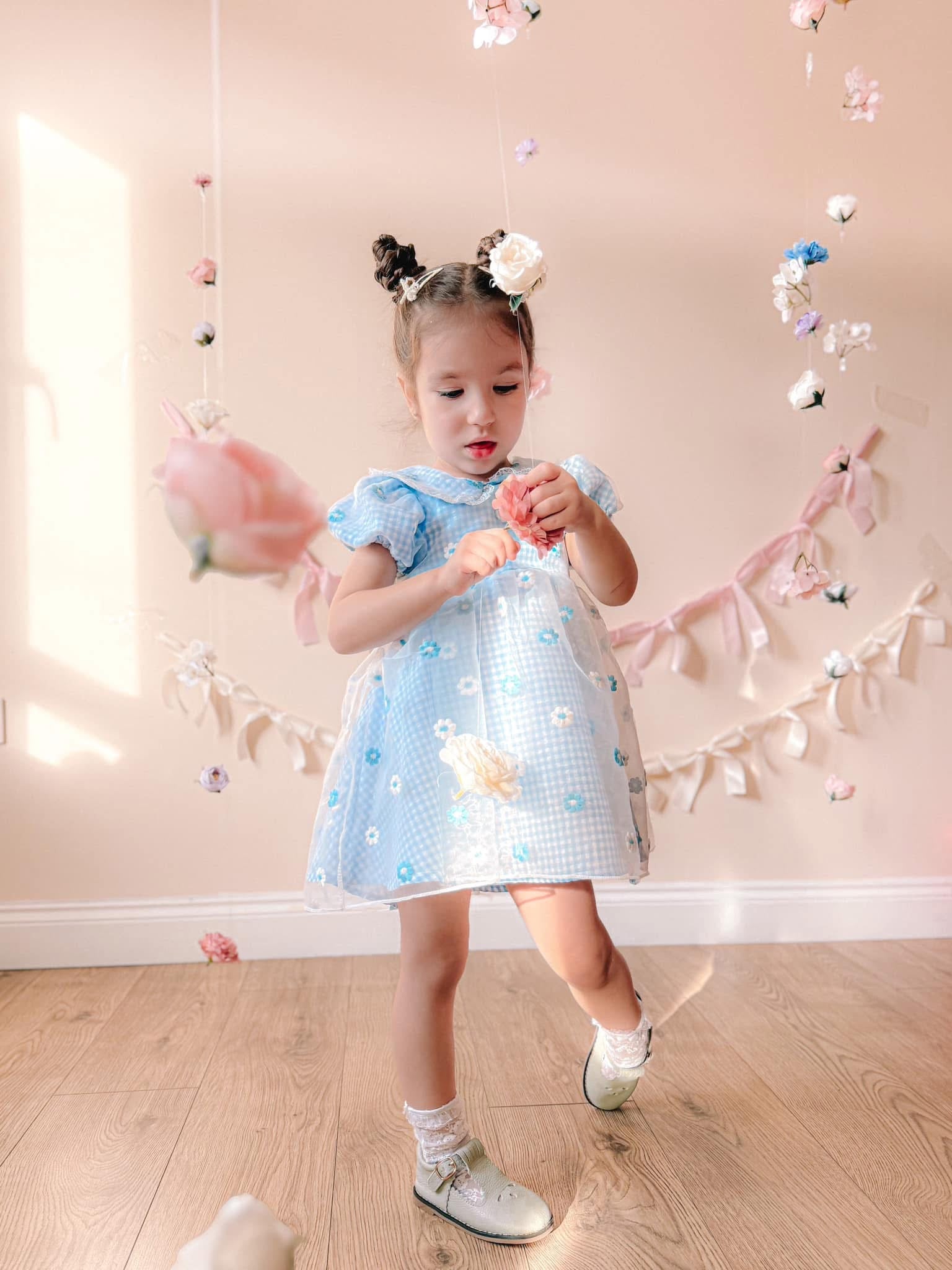 Blue gingham daisy lace dress