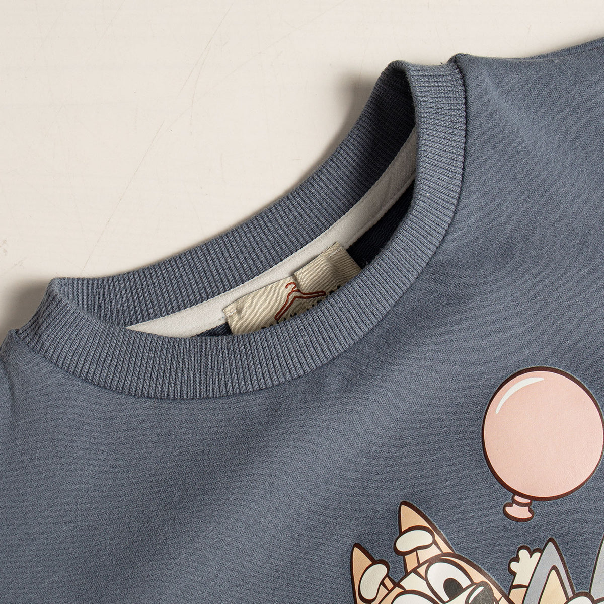 Blue dog sweatshirt