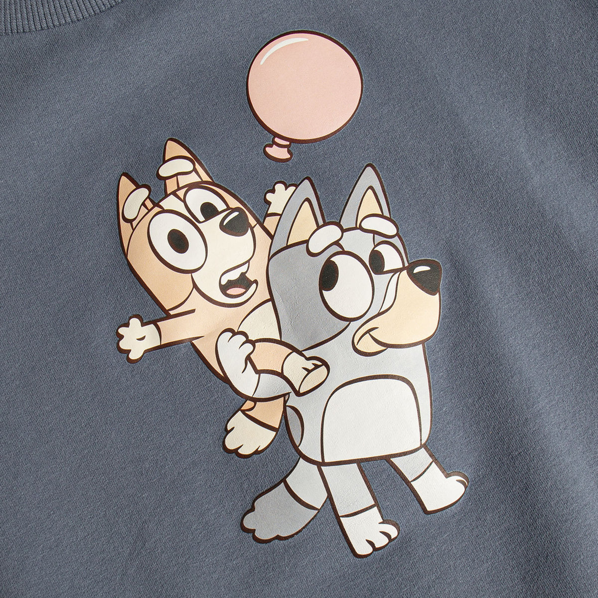 Blue dog sweatshirt