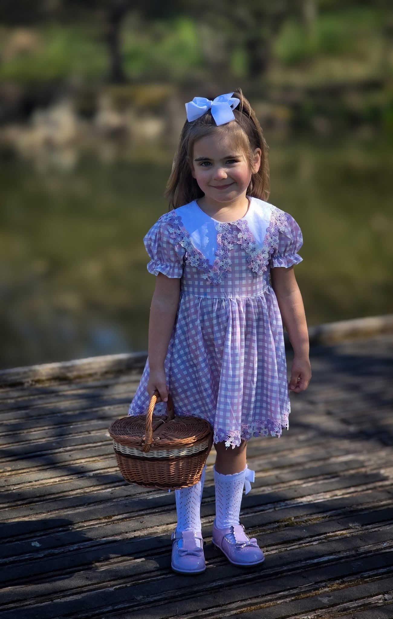 Lilac daise gingham dress