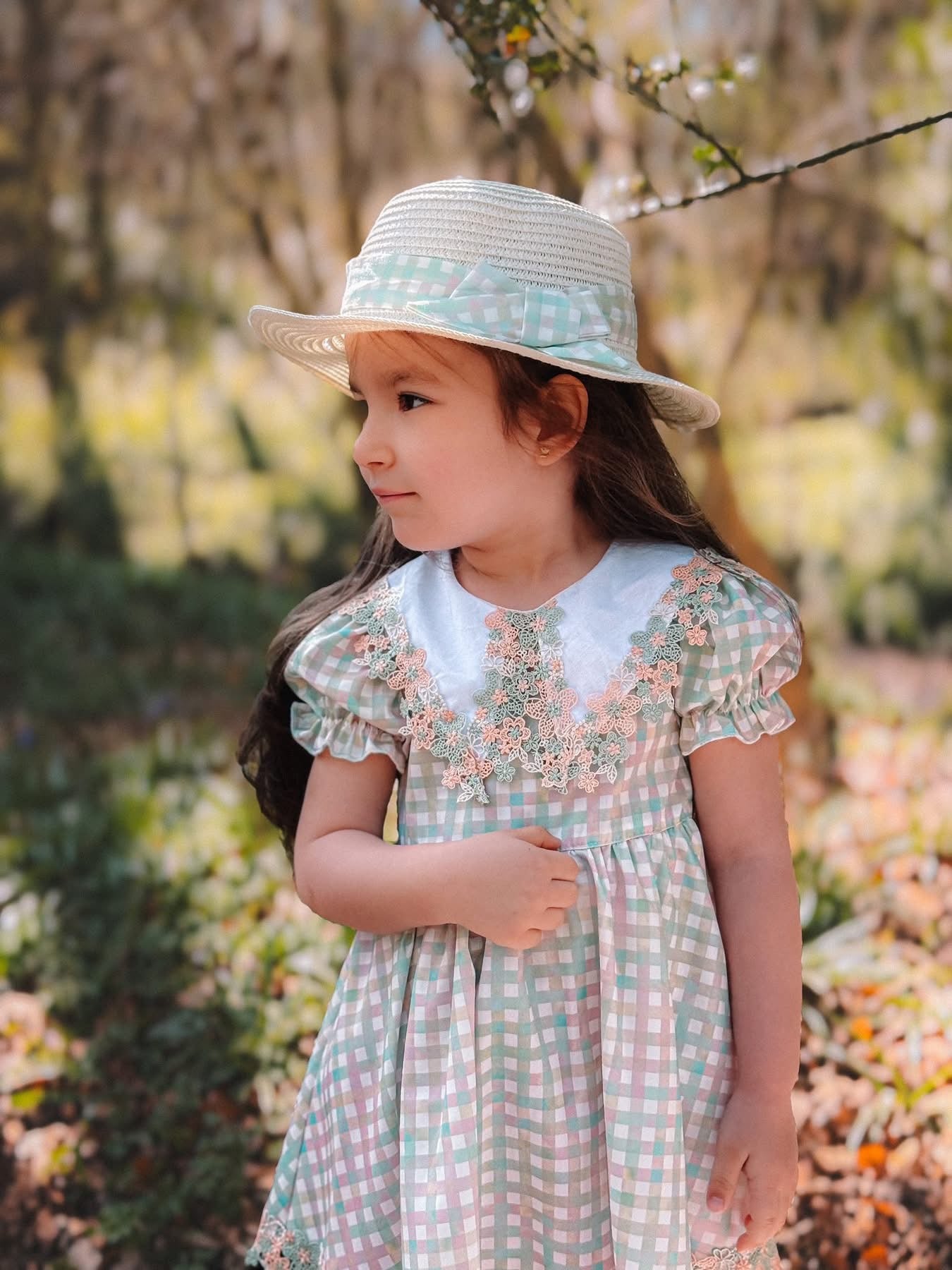 Sage daise gingham dress