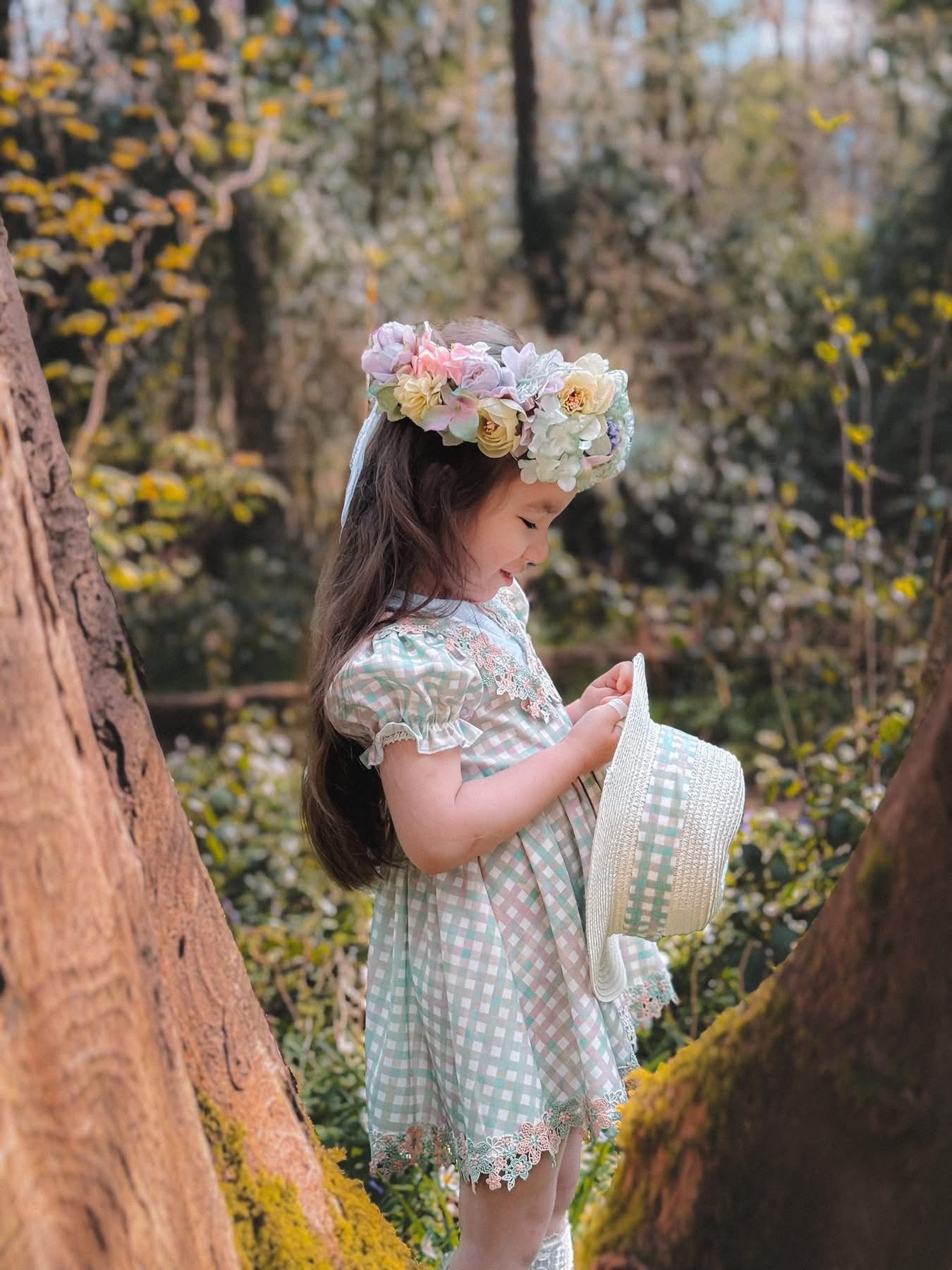 Sage daise gingham dress