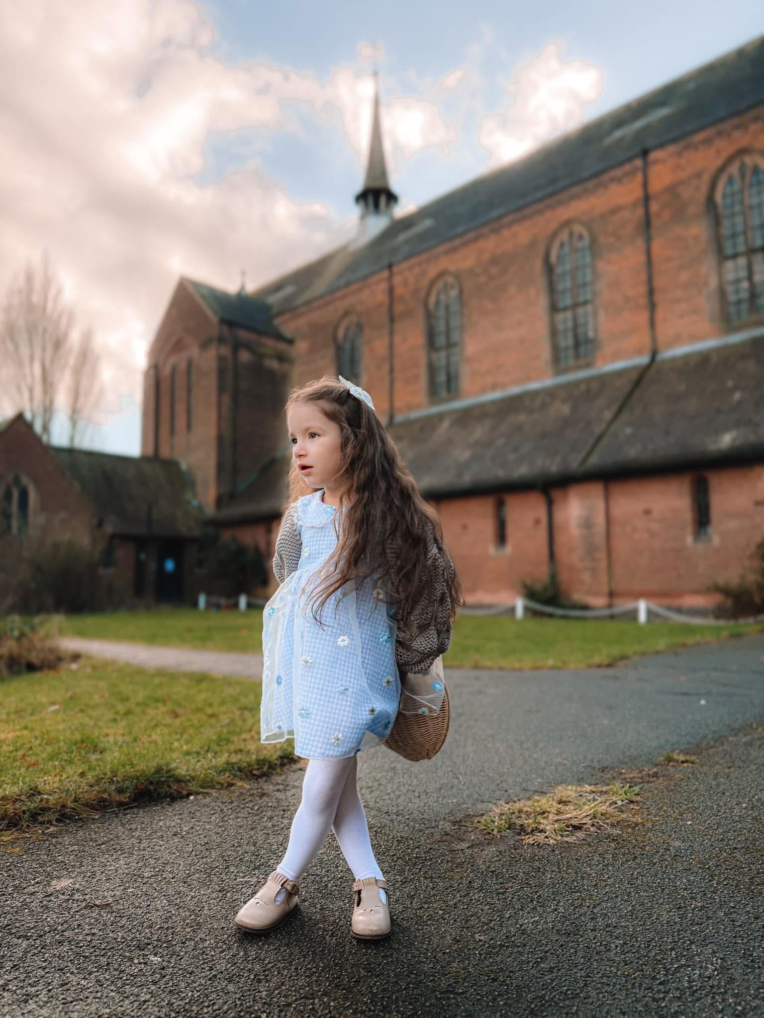 Blue gingham daisy lace dress