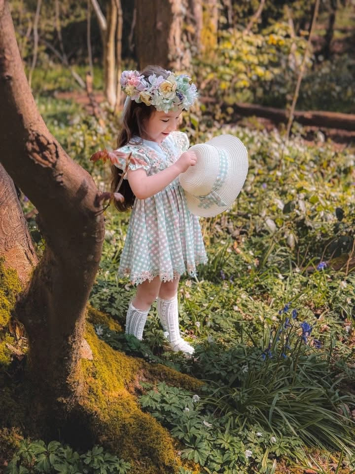 Sage daise gingham dress