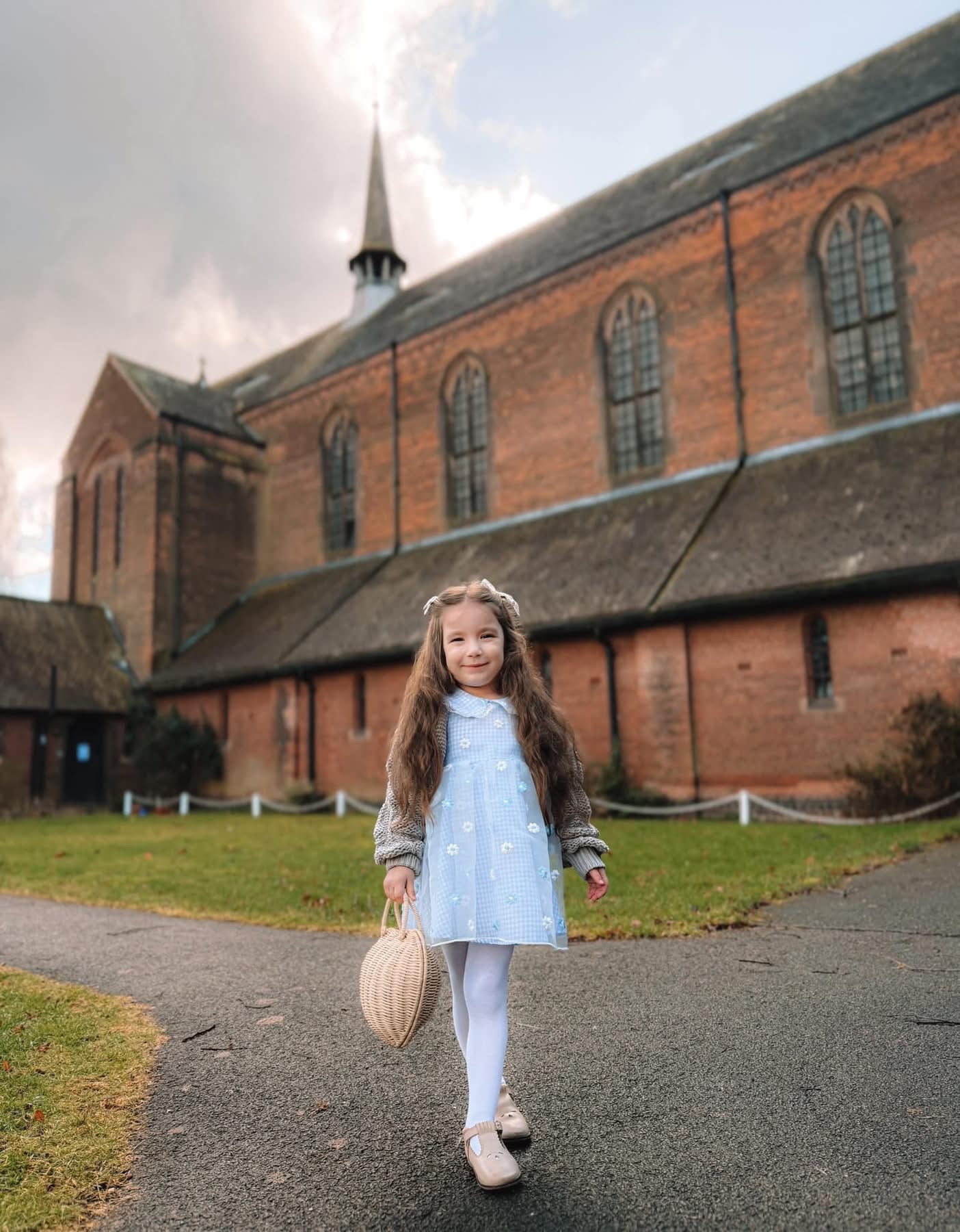 Blue gingham daisy lace dress
