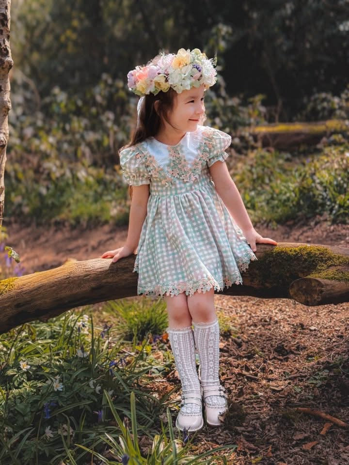 Sage daise gingham dress