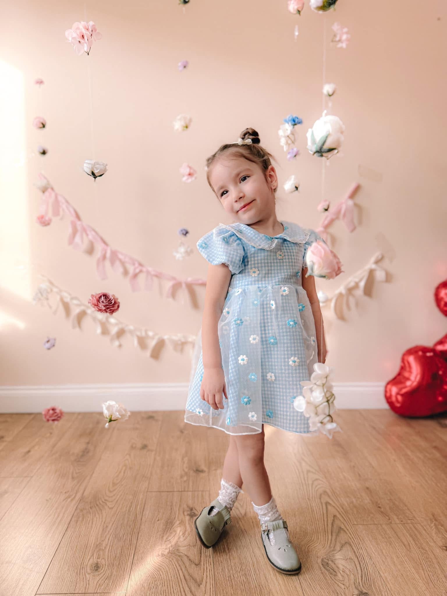 Blue gingham daisy lace dress