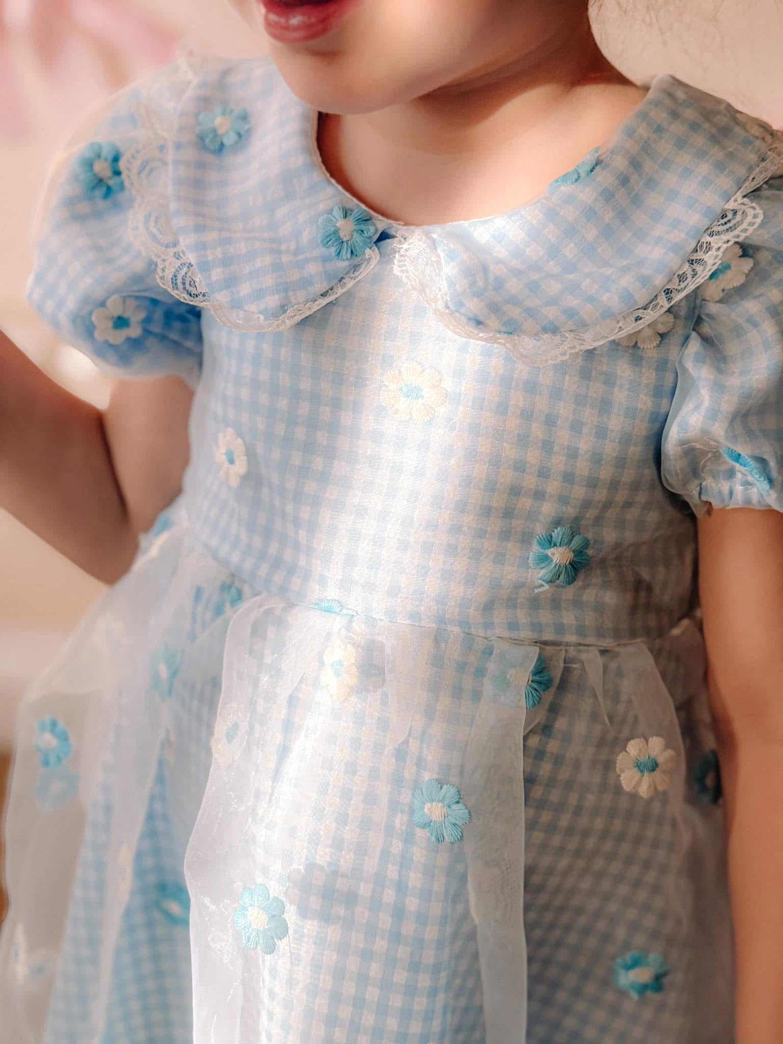 Blue gingham daisy lace dress